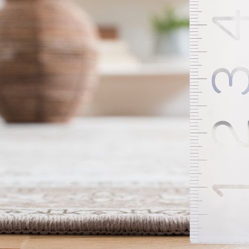 Tapis Tucson 183 X 183 Cm Traditionnel Kushim Sage / Ivory