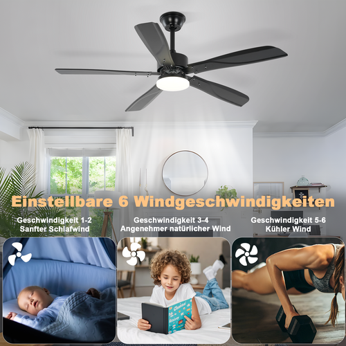 Ventilateur De Plafond Noir Avec Éclairage LED Silencieux Et Réglable 23 W
