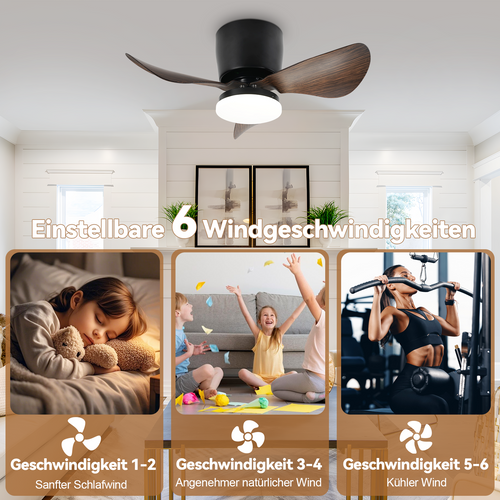 ZMH Ventilateur Plafond LED Moderne 70cm Noir - 23W, Dimmable, Télécommande (6 Vitesses)