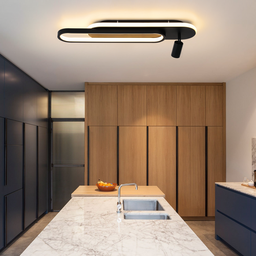 Plafonnier LED De Salon : 46w Noir Dimmable Avec 1 Spot De Plafond Et Télécommande