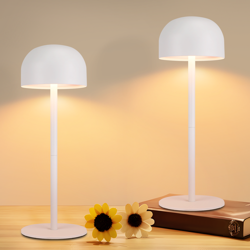 Lot De 2 Lampes à Poser De Table LED Sans Fil - Lampe Intensité Variable Avec 3 Températures