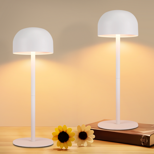 Lot De 2 Lampes à Poser De Table LED Sans Fil - Lampe Intensité Variable Avec 3 Températures