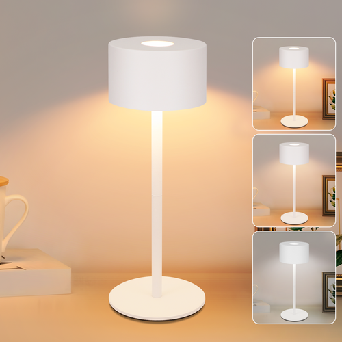 Lot De 2 Lampes De Table Tactile à Intensité Variable Avec 3 Température