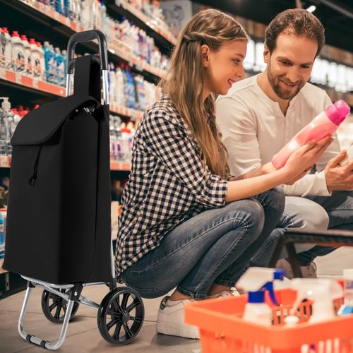Chariot De Courses Pliable à 2 Roues, Caddie à 33l Charge 35kg, Cadre En Métal, Noir