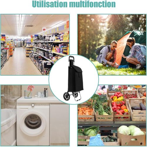 Chariot De Courses Pliable à 2 Roues, Caddie à 33l Charge 35kg, Cadre En Métal, Noir