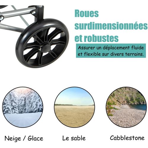Chariot De Courses Pliable à 2 Roues, Caddie à 33l Charge 35kg, Cadre En Métal, Noir