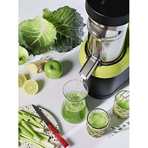 Extracteur De Jus "nutrisantos" 65 -