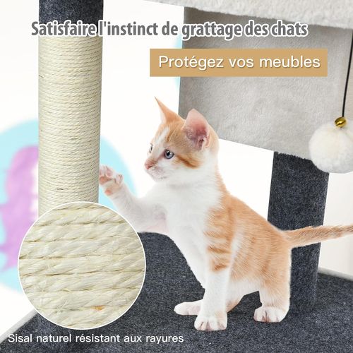 Arbre à Chat Perchoir Large 42x42x80 Cm Avec Poteau En Sisal Balle En Peluche 2 Niches Pour Jeux Rep