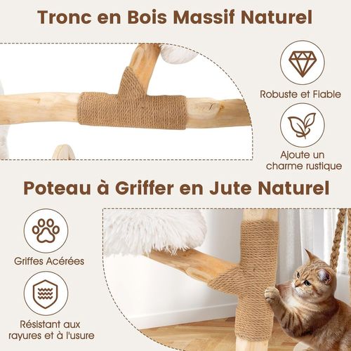 Petit Arbre à Chat 66 Cm, Arbre à Chat En Bois D’poirier, Berceau, Poteaux à Griffer En Jute