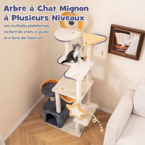Arbre à Chat XXL 160 Cm, Arbre à Chat Maine Coon, 6 Plateformes, Planche Et Poteaux (160 Cm)