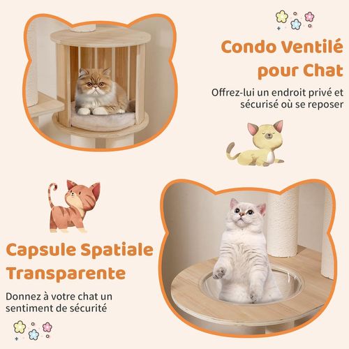 Arbre à Chat XXL 60x48x185cm, 3 Plateformes, Capsule, Condo, Échelle, Coussins Lavables