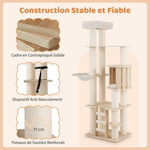 Arbre à Chat XXL 60x48x185cm, 3 Plateformes, Capsule, Condo, Échelle, Coussins Lavables