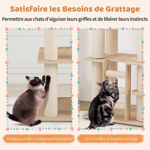Arbre à Chat XXL 60x48x185cm, 3 Plateformes, Capsule, Condo, Échelle, Coussins Lavables