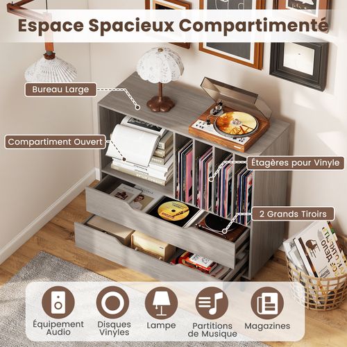 Meuble Vinyle Avec 2 Tiroirs, Rangement Platine Vinyle 5 Compartiments (gris Chêne)