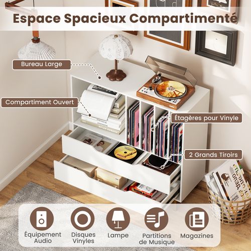Meuble Vinyle Avec 2 Tiroirs, Rangement Platine Vinyle 5 Compartiments (blanc)