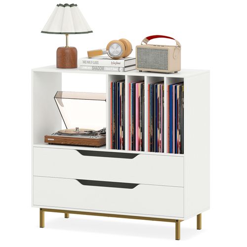 Meuble Vinyle Avec 2 Tiroirs, Rangement Platine Vinyle 5 Compartiments (blanc)