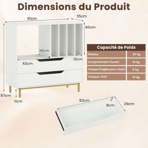 Meuble Vinyle Avec 2 Tiroirs, Rangement Platine Vinyle 5 Compartiments (blanc)