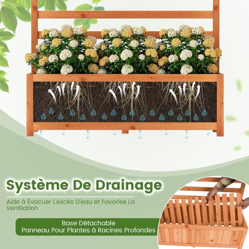 Jardinière Surélevée Avec Treillis Vertical En Bois De Sapin 150cm,trou De Drainage Doublure,orange