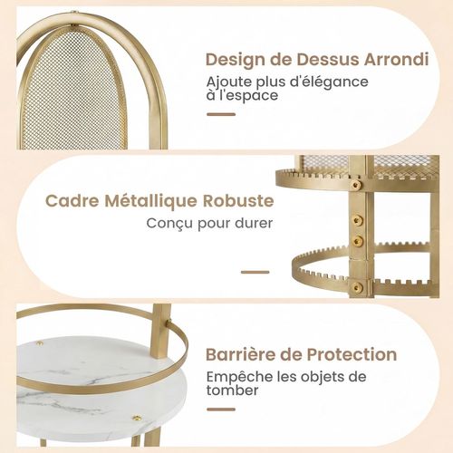Presentoir Bijoux Sur Pied Rotatif à 360°,6 Niveaux, Porte-boucles D'oreilles(or+blanc)