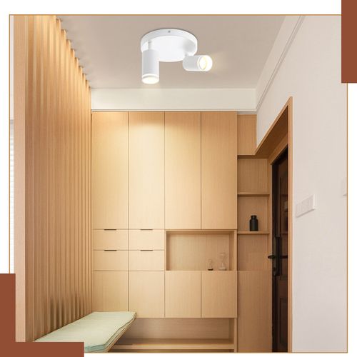 Spot De Plafond 2 Flammes Orientable Lampe De Plafond Lampe De Couloir Intérieur