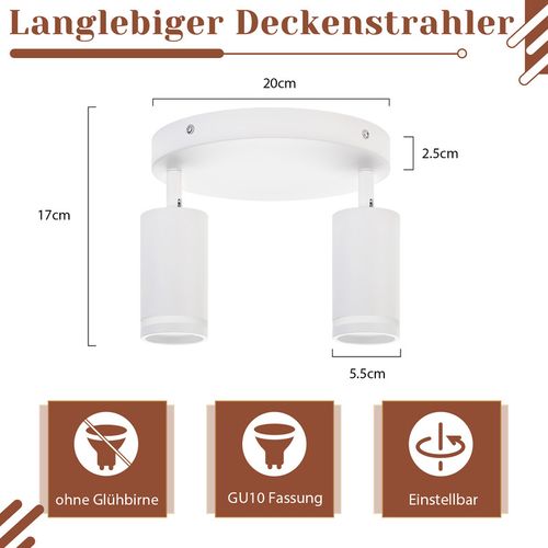 Spot De Plafond 2 Flammes Orientable Lampe De Plafond Lampe De Couloir Intérieur