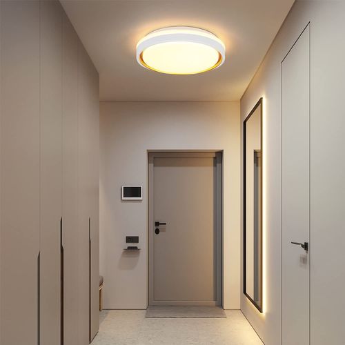 Plafonnier LED 18W 30cm Dimmable avec Télécommande Moderne Rond Salon Chambre Cuisine