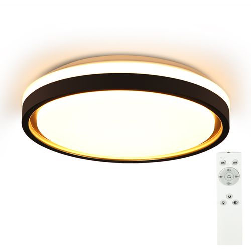 Plafonnier LED Salon D.30cm Dimmable Avec Télécommande Plafonnier Moderne Couloir
