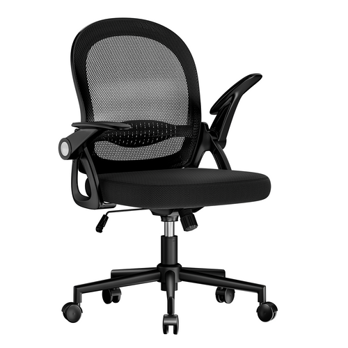 Chaise De Bureau Ergonomique En Maille, Accoudoirs Relevables, Support Lombaire - Noir