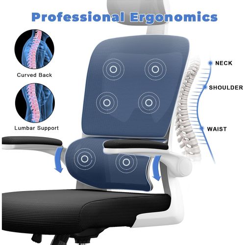 Fauteuil De Bureau Pivotant Avec Fonction Berçante Et Support Lombaire Adaptatif - Noir Et Blanc