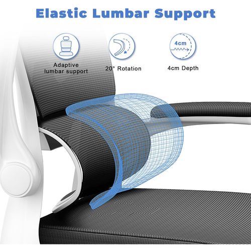 Fauteuil De Bureau Pivotant Avec Fonction Berçante Et Support Lombaire Adaptatif - Noir Et Blanc