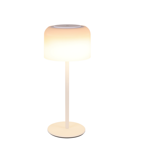 Nettlife Lampe De Table LED Sans Fil, Dimmable 3000k-6500k, Étanche, Réglable.