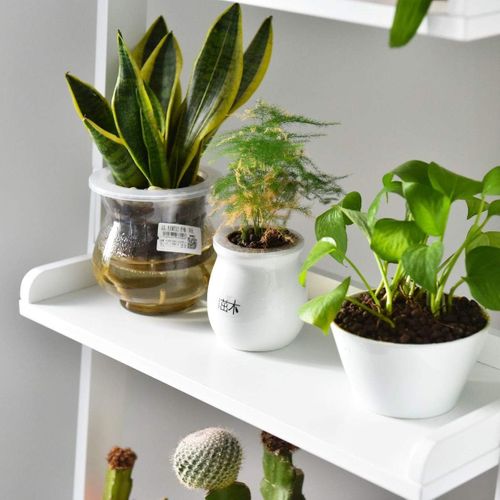 Etagère Echelle De 5 Etages 56 X 32,5 X 189 Cm Blanche Panneau