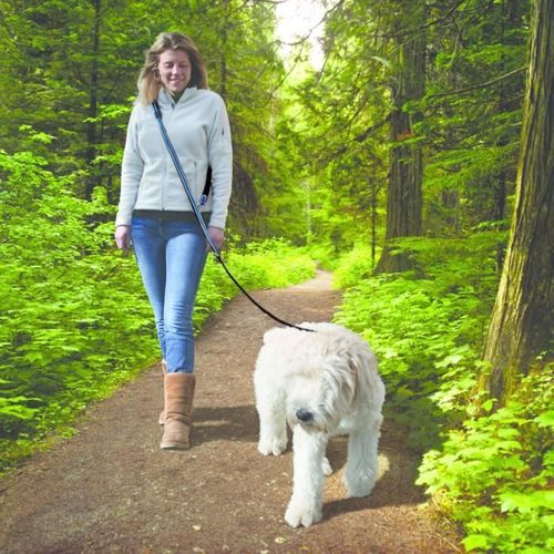 Laisse Mains Libres - Kurgo - Quantum - 6 Positions - 120 à 180 Cm - Bleu