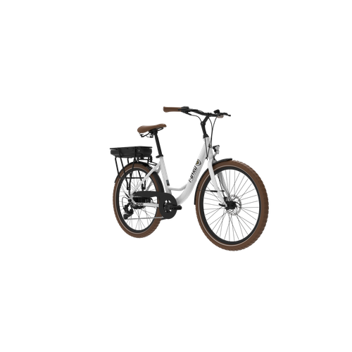 Vélo Électrique 26" Alliage De Aluminium Moteur 250w Freins à Double Disque Écran LCD