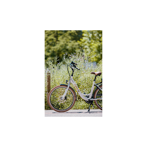 Vélo Électrique 26" Alliage De Aluminium Moteur 250w Freins à Double Disque Écran LCD