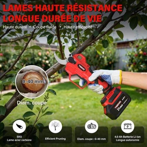 Ensemble D'outils De Jardinage 2 En 1 : Mini-scie Sans Fil De 6 Pouces + Sécateur Électrique Sans