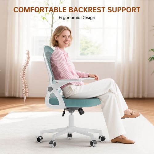 Chaise De Bureau Ergonomique En Maille, Accoudoirs Relevables, Support Lombaire - Bleu