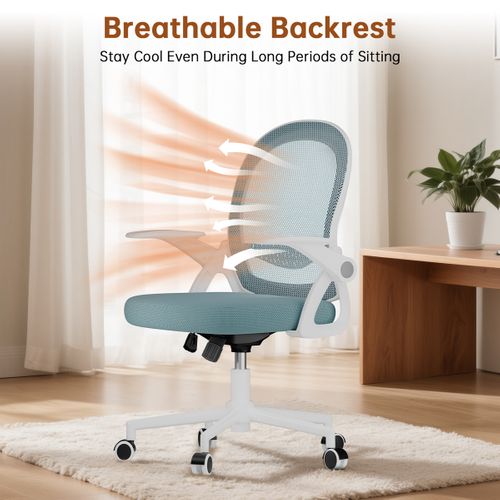 Chaise De Bureau Ergonomique En Maille, Accoudoirs Relevables, Support Lombaire - Bleu