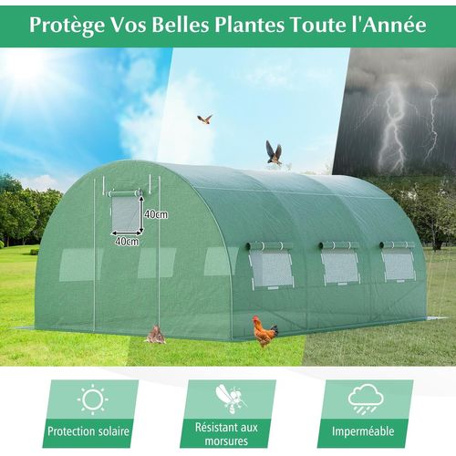 Serre De Jardin Tunnel 600x300x200 Cm Cadre En Acier Galvanisé Robuste, Serre Tunnel Coupe-vent