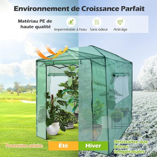 Serre De Jardin Portable Avec 2 Larges Fenêtres Observation, Tente Pour Plantes Porte Enroulable