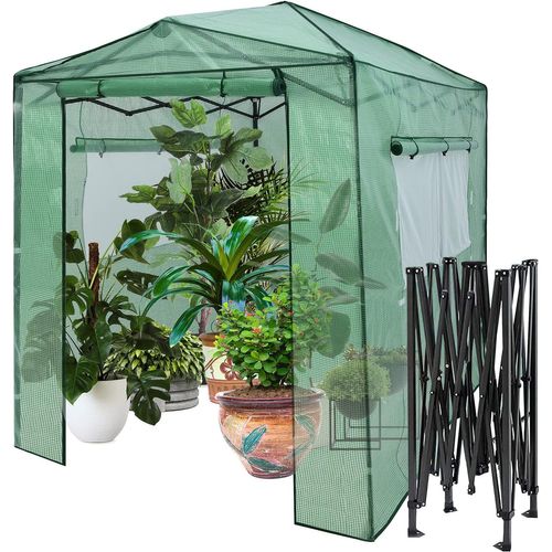 Serre De Jardin Portable Avec 2 Larges Fenêtres Observation, Tente Pour Plantes Porte Enroulable
