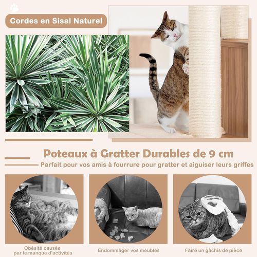 Arbre à Chat En Bois Avec Niche Et 2 Perchoirs En Peluche