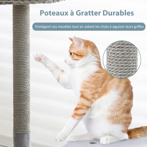 Arbre à Chat Avec Cadre En Métal Courbé,centre D'activités Pour Chat Avec Balle Suspendue(gris)