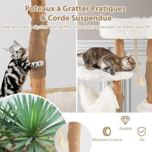 Arbre à Chat En Bois Massif De 87 Cm,tour à Chat Avec Hamac, Charge 10kg Chaque Couche