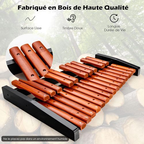 Xylophone 25 Notes, Glockenspiel Éducatif En Bois Avec 2 Maillets Et Valise, Marron Et Noir