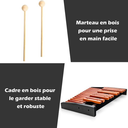Xylophone 25 Notes, Glockenspiel Éducatif En Bois Avec 2 Maillets Et Valise, Marron Et Noir