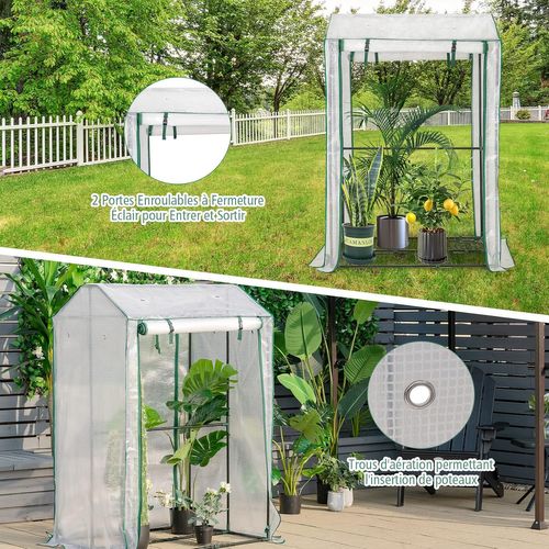 Serre De Jardin Portable-100 Cm X 81 Cm X 150 Cm-2 Portes à Enroulement-4 Grilles