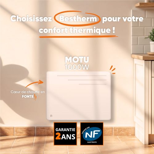 Radiateur Électrique Fixe à Inertie Sèche Fonte 1000w  Motu Horizontal Blanc
