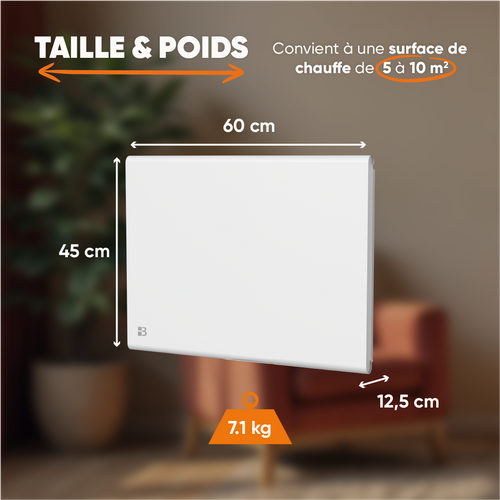 Radiateur Électrique Fixe à Inertie Sèche Fonte+film 1000w Nemesis Horizontal Blanc