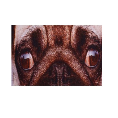 Coussin Chien Carlin 45 Cm